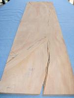 Sycamore (q-sawn) 1/2" (2 pcs)